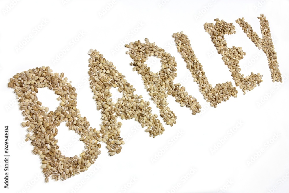BARLEY geschrieben mit Gerstenkörnern auf weißem Hintergrund BARLEY geschrieben mit Gerstenkörnern auf weißem Hintergrund