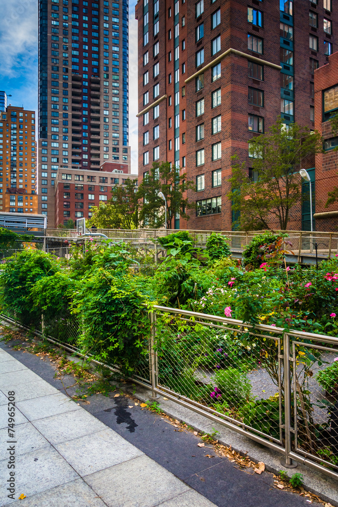 Garden along a path in Battery Park City, Manhattan, New York.
