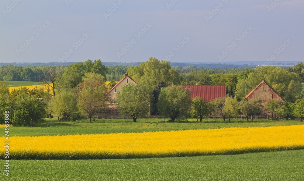 Beautiful landscape with fields and hills