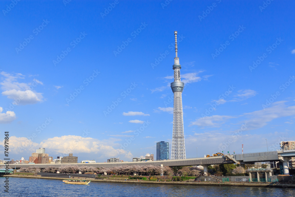 Tokyo Sky Tree and Sumida river in Tokyo
