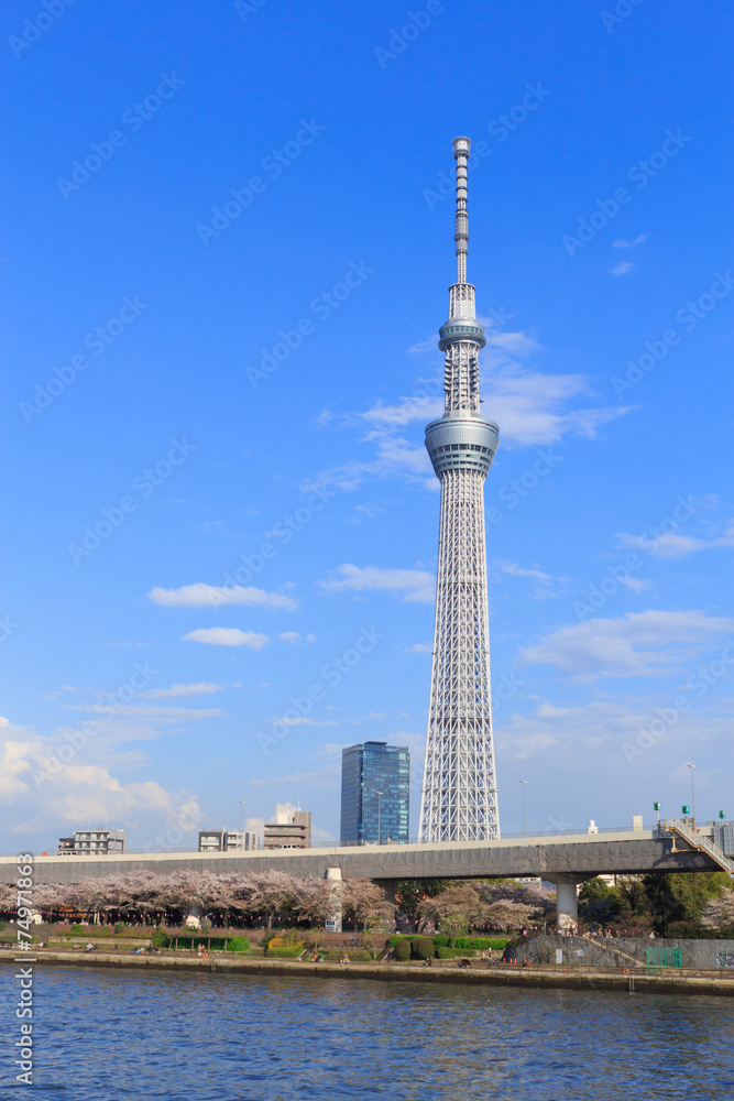 Fototapeta premium Tokyo Sky Tree and Sumida river in Tokyo