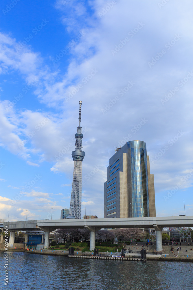 Tokyo Sky Tree and Sumida river in Tokyo