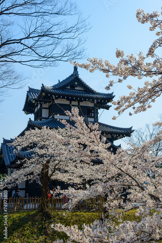 Cherry blossoms at the Takada Park and the Takada Castle in Joet