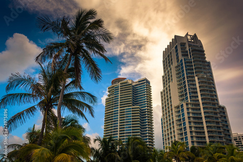 Palm trees and highrises at South Beach, Miami, Florida.