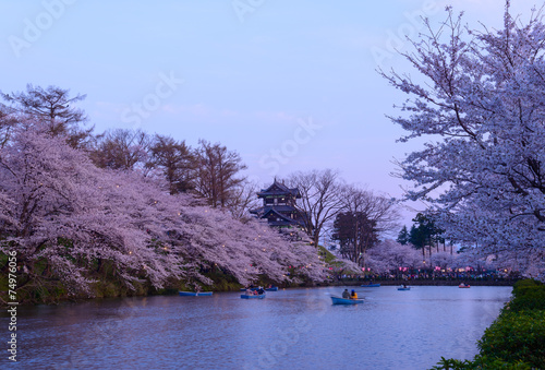 Cherry blossoms at the Takada Park and the Takada Castle in Joet photo