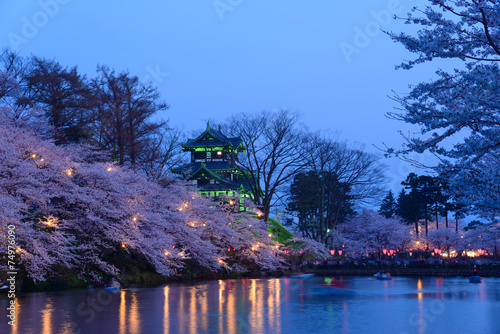 Cherry blossoms at the Takada Park and the Takada Castle in Joet photo