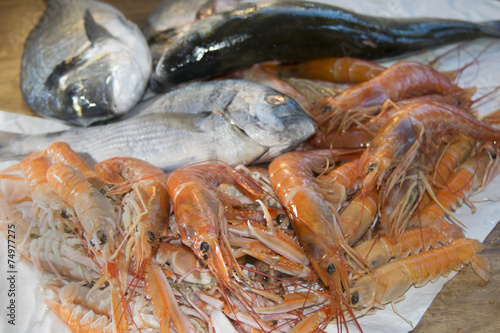 fresh fish of the mediterranean