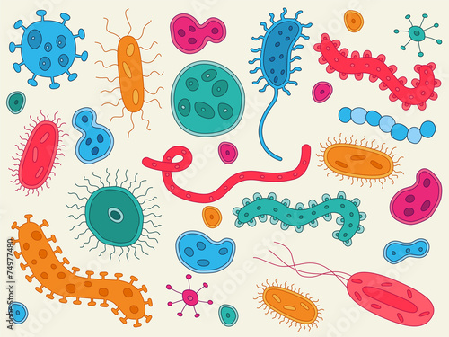 Hand Drawn Bacteria / Germs