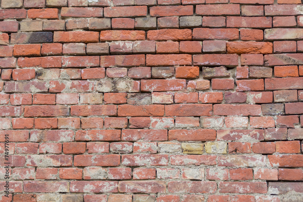 Obraz premium brick wall