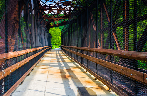 Railroad and pedestrian bridge at Lehigh Gorge State Park, Penns photo