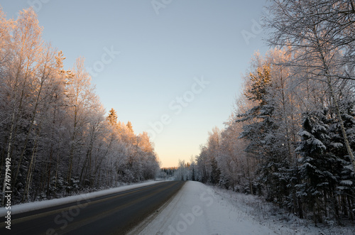 Winter forest road in a magical light