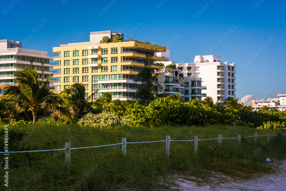 Sand dunes and buildings on the beach in Miami Beach, Florida.