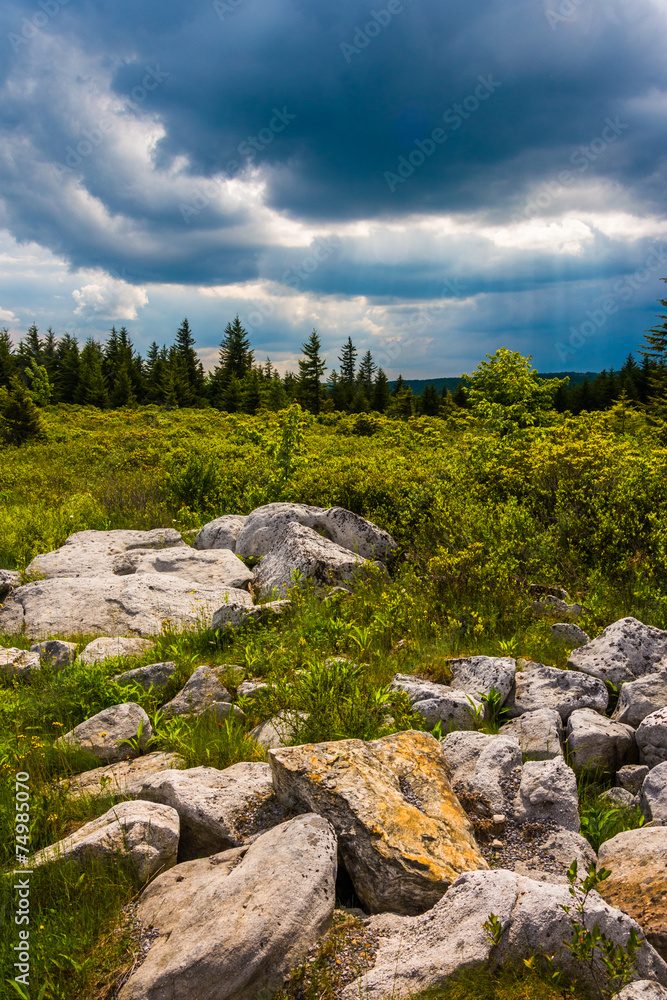 Storm clouds over Bear Rocks Preserve, Monongahela National Fore Storm clouds over Bear Rocks Preserve, Monongahela National Fore