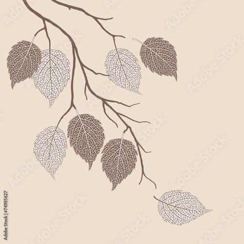 Autumn leaves on a tree