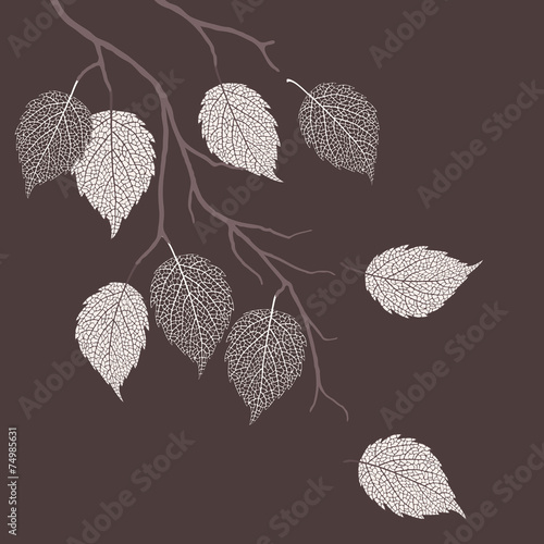 Autumn leaves on a tree