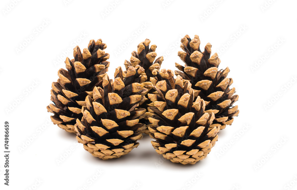 cones cones
