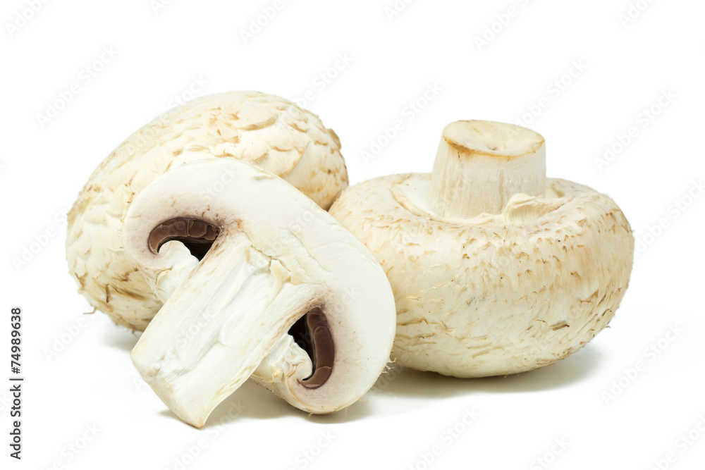 Fototapeta premium Mushrooms