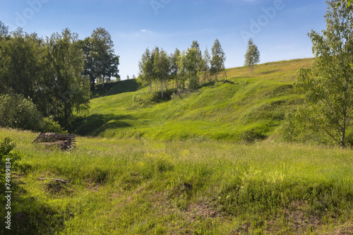 Obraz na płótnie Forest on the hill with shack w salonie