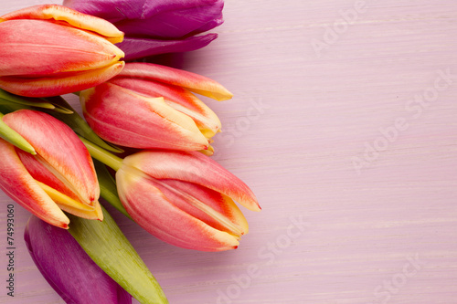 Fototapeta Naklejka Na Ścianę i Meble -  Tulip.