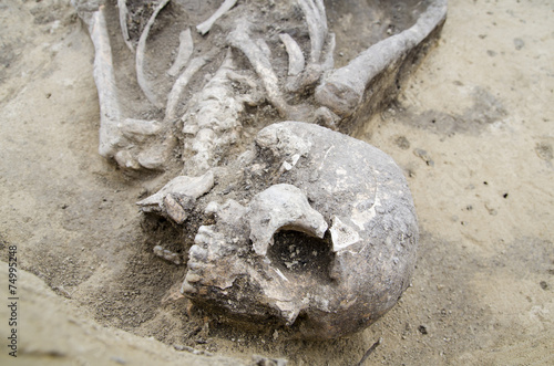 Real human skeleton exhumed
