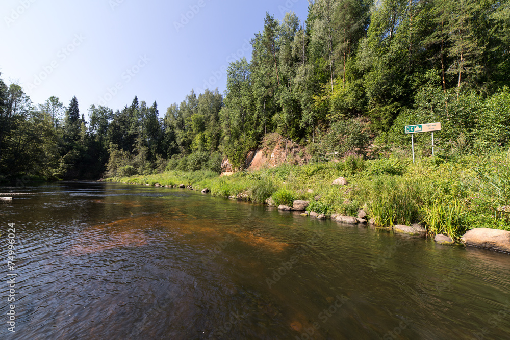 mountain river in summer surrounded by forest mountain river in summer surrounded by forest