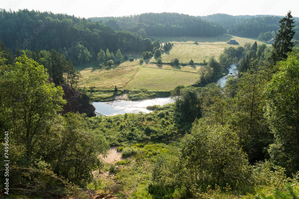 mountain river in summer surrounded by forest mountain river in summer surrounded by forest