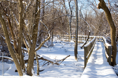 Winter Nature Trail