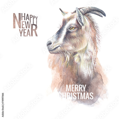 New year goat.