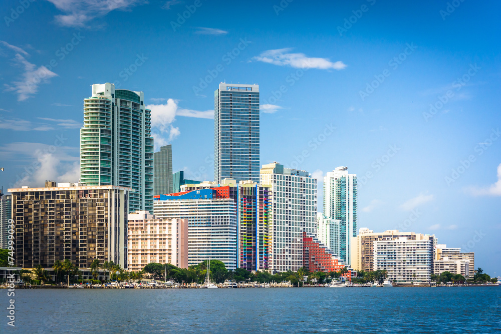 Fototapeta premium View of the Miami Skyline from Virginia Key, Miami, Florida.