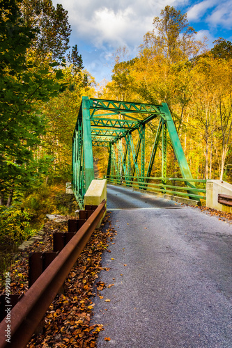 Autumn color and a bridge in Gunpowder Falls State Park, Marylan photo