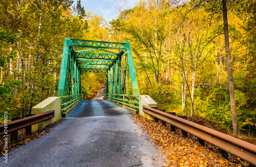 Autumn color and a bridge in Gunpowder Falls State Park, Marylan photo