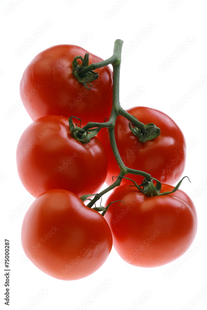 pomidor pomidor