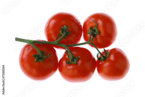 pomidor © fotodrobik
