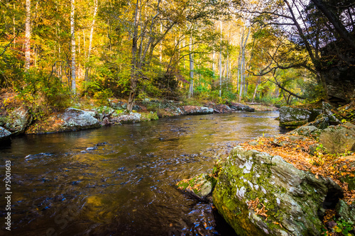 Fototapeta Naklejka Na Ścianę i Meble -  Early autumn color along the Gunpowder River in Gunpowder Falls