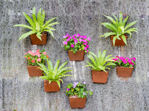 decorated wall in vertical garden