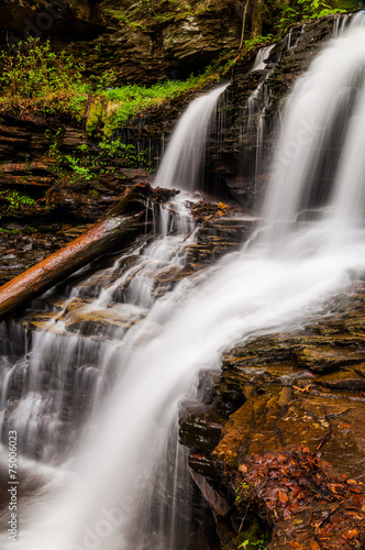Shawnee Falls  at Ricketts Glen State Park  Pennsylvania.