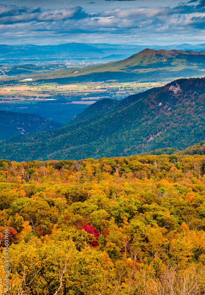 Autumn view of the Blue Ridge Mountains and Shenandoah Valley fr Autumn view of the Blue Ridge Mountains and Shenandoah Valley fr