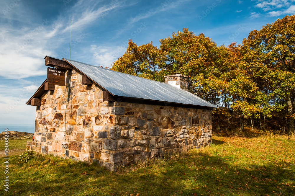 Byrd's Nest Shelter atop Hawksbill Summit, along the Appalachian Byrd's Nest Shelter atop Hawksbill Summit, along the Appalachian