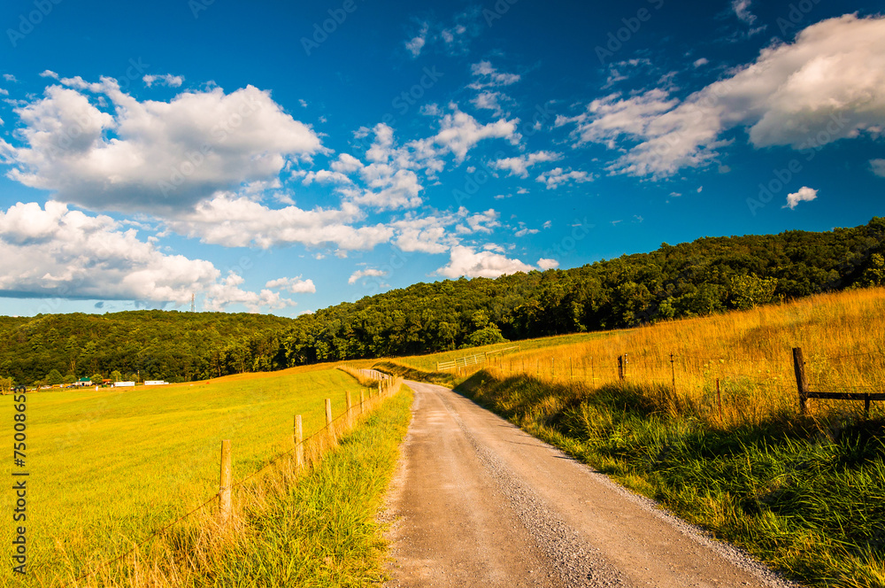 Naklejka premium Dirt road in the Shenandoah Valley, Virginia.
