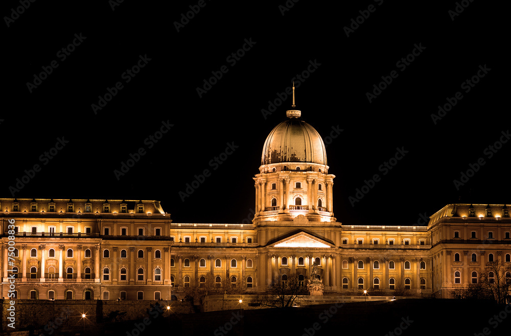 Obraz premium Royal Palace, Budapest, Hungary