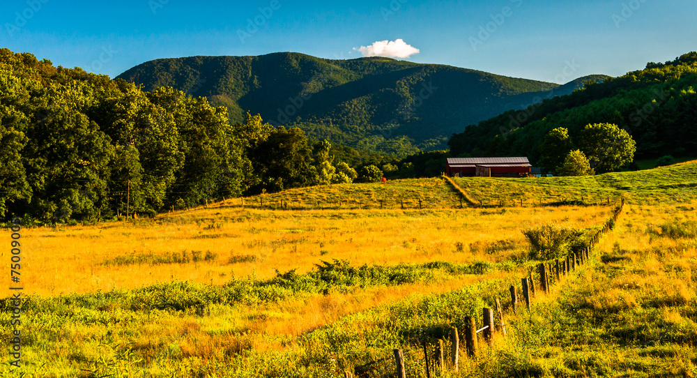 Farm and view of the Appalachians in the Shenandoah Valley, Virg