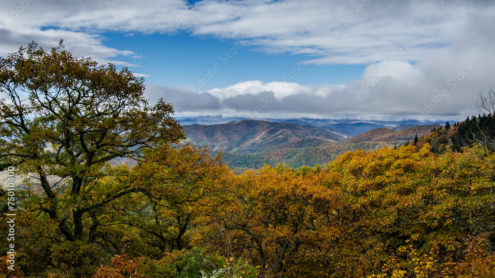 Obraz premium Mountain Range Covered in Turning Leaves