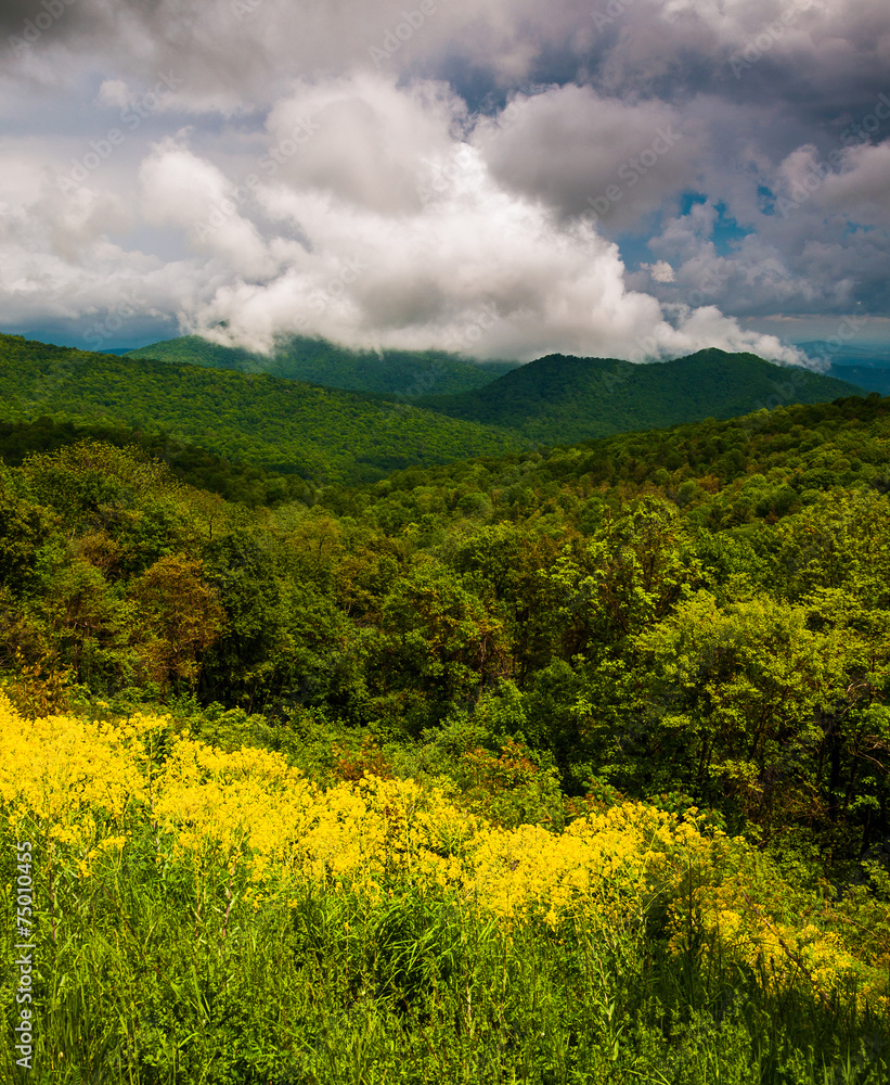  Spring view of the Appalachians from Skyline Drive in Shenandoa
