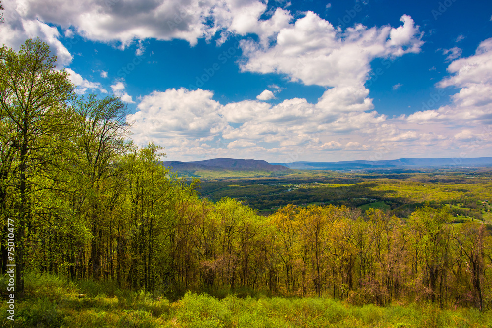 Spring view of the Shenandoah Valley from Skyline Drive in Shena