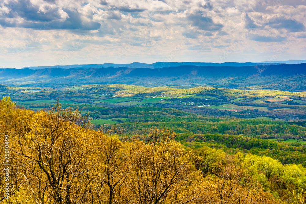 Spring view of the Shenandoah Valley from Skyline Drive in Shena Spring view of the Shenandoah Valley from Skyline Drive in Shena
