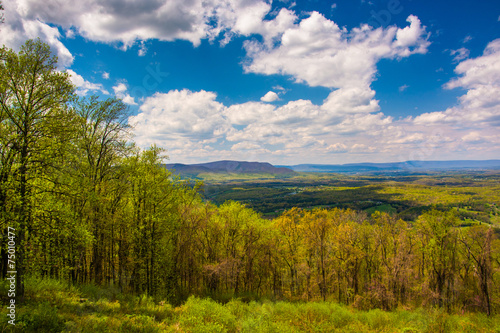 Spring view of the Shenandoah Valley from Skyline Drive in Shena © jonbilous