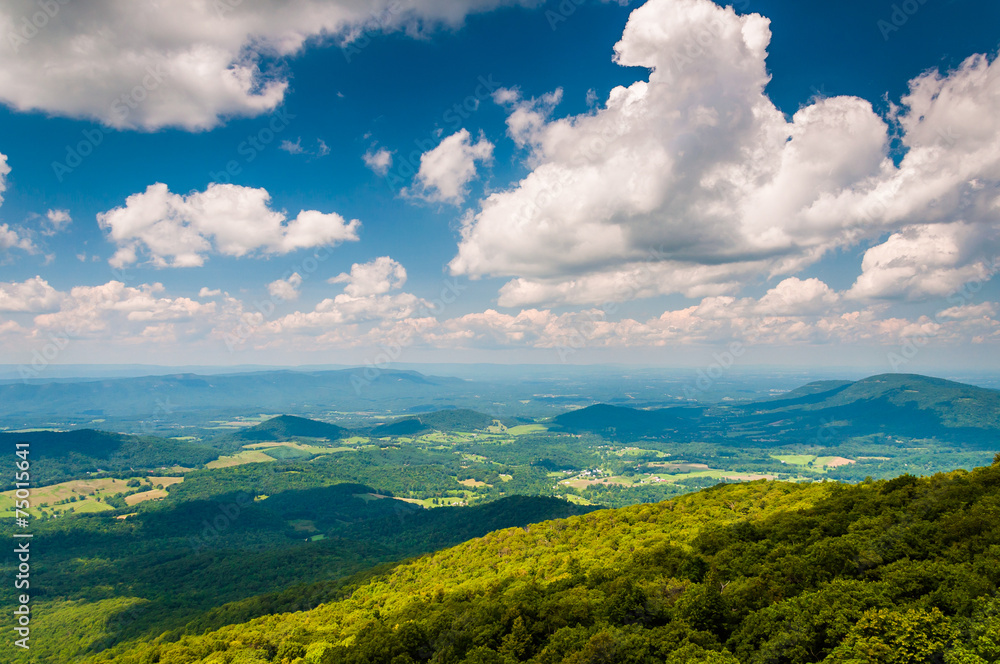 View of the Blue Ridge Mountains and Shenandoah Valley from Sout