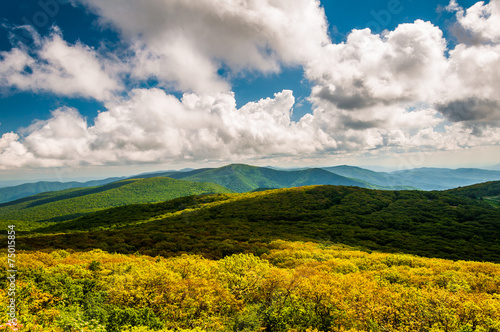 View of the Blue Ridge Mountains from Stony Man Mountain  in She