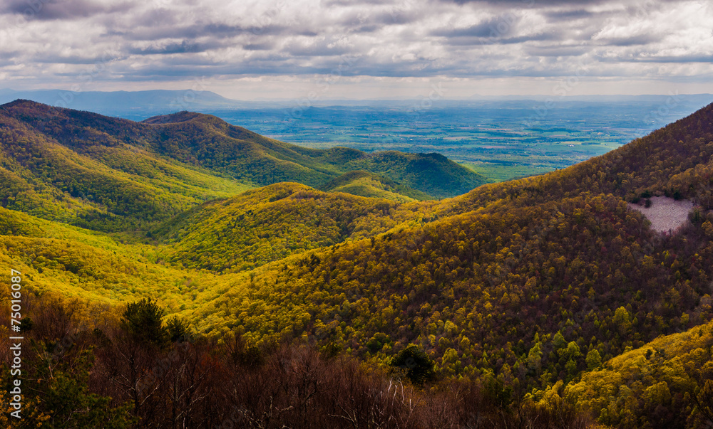 View of the Shenandoah Valley and foothills of the Blue Ridge fr View of the Shenandoah Valley and foothills of the Blue Ridge fr