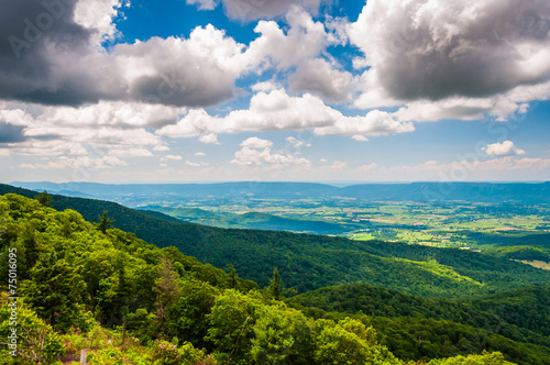 View of the Shenandoah Valley from an overlook on Skyline Drive